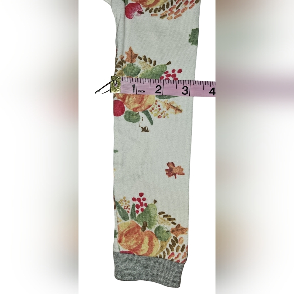 Burt’s Bees Kids Organic Cotton Pajama Set Thanksgiving Fall Pumpkin Harvest 4T - Picture 10 of 16